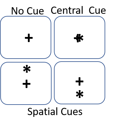 Figure to show all possible cues in the task